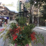 DSCN3623