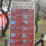DSCN4955