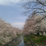 KIMG0365[1]